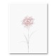 Peony 2 Wall Art Print