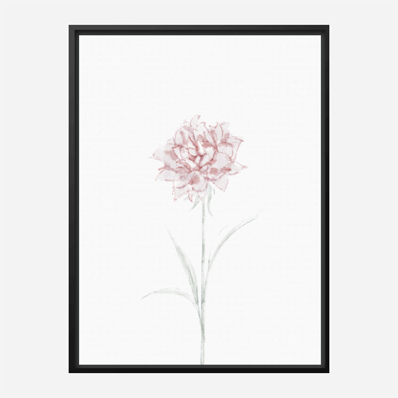 Peony 2 Wall Art Print