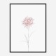 Peony 2 Wall Art Print