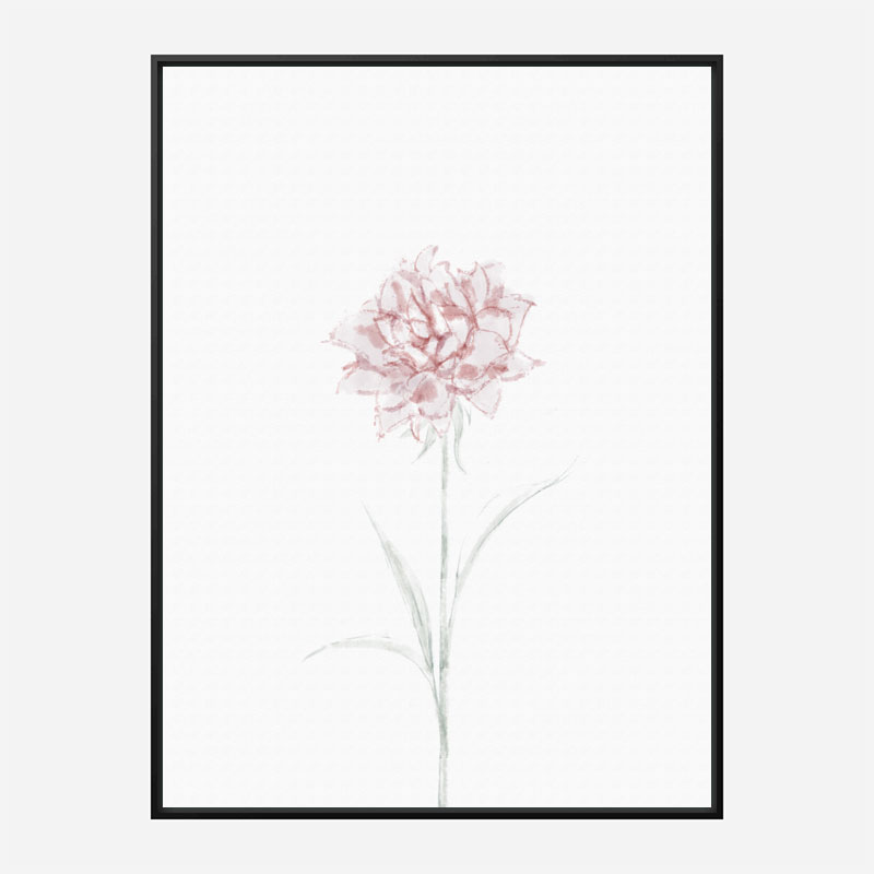 Peony 2 Wall Art Print