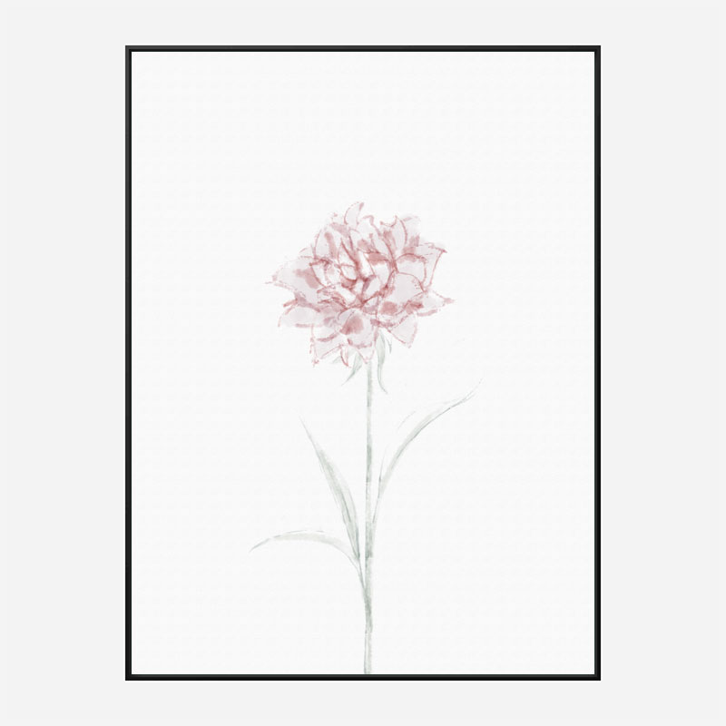 Peony 2 Wall Art Print