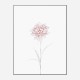 Peony 2 Wall Art Print