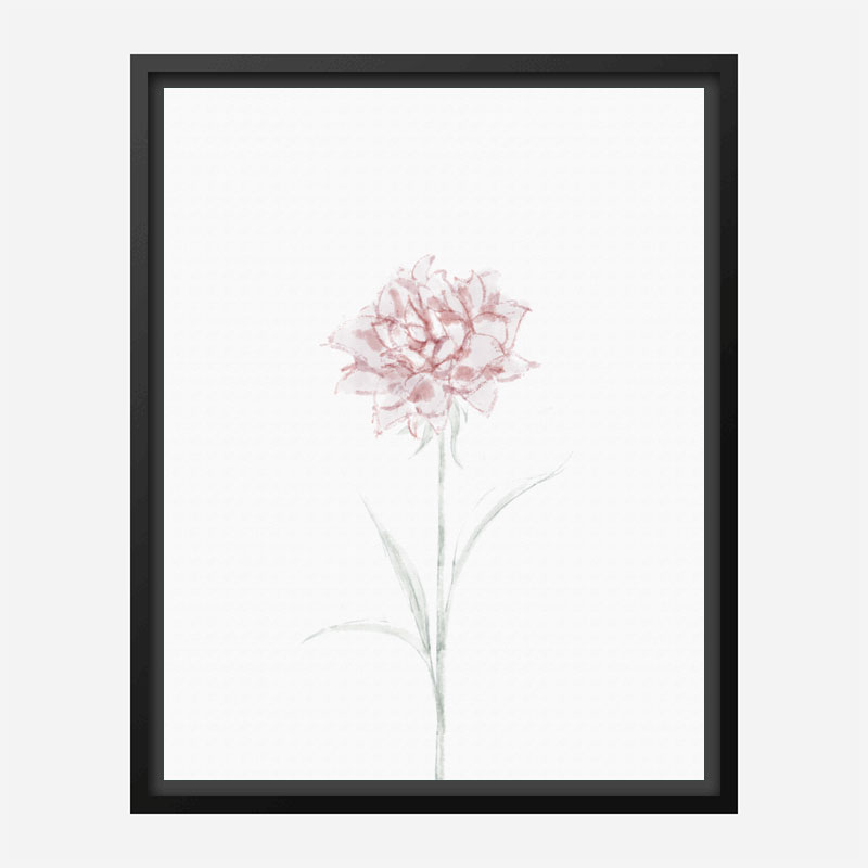 Peony 2 Wall Art Print