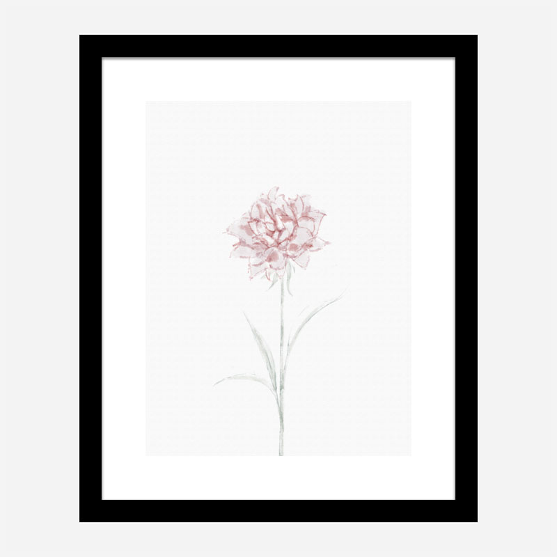 Peony 2 Wall Art Print