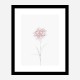 Peony 2 Wall Art Print