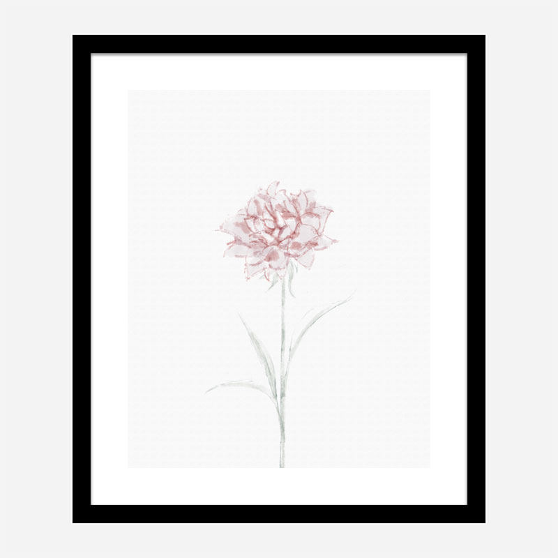 Peony 2 Wall Art Print