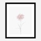 Peony 2 Wall Art Print