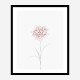 Peony 2 Wall Art Print