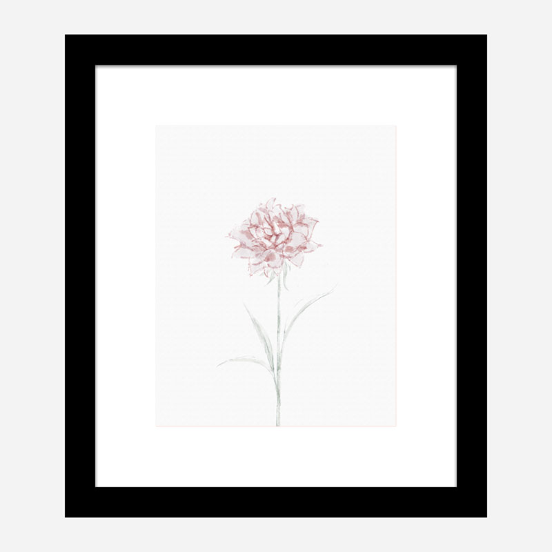 Peony 2 Wall Art Print