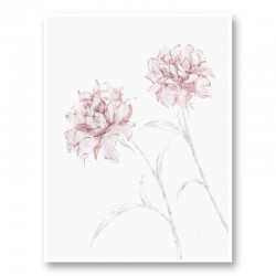 Peony 3 Wall Art Print