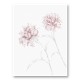 Peony 3 Wall Art Print