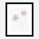 Peony 3 Wall Art Print