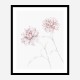 Peony 3 Wall Art Print