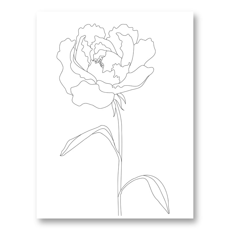 Peony Lines Wall Art Print