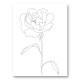 Peony Lines Wall Art Print