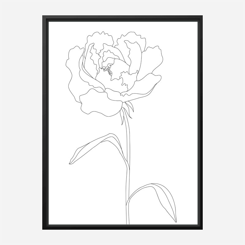 Peony Lines Wall Art Print