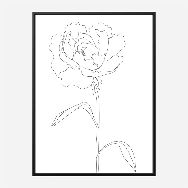 Peony Lines Wall Art Print