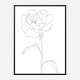 Peony Lines Wall Art Print