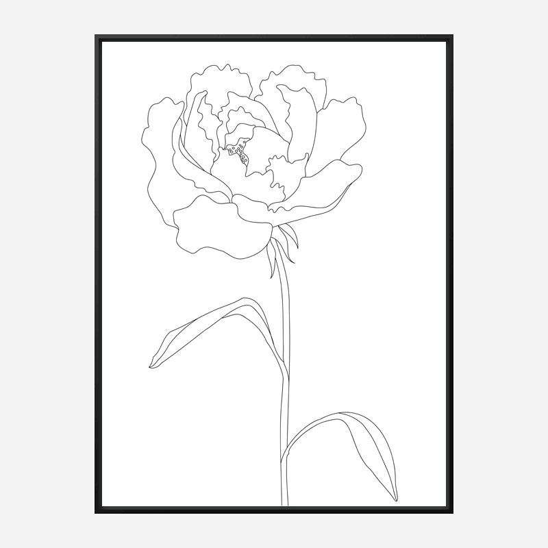 Peony Lines Wall Art Print