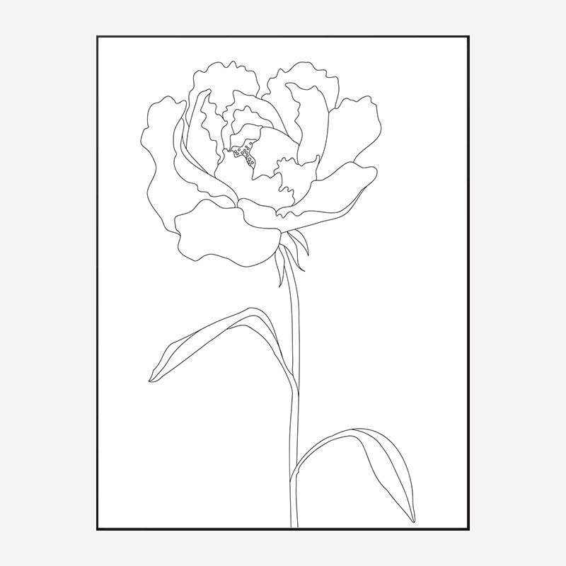 Peony Lines Wall Art Print