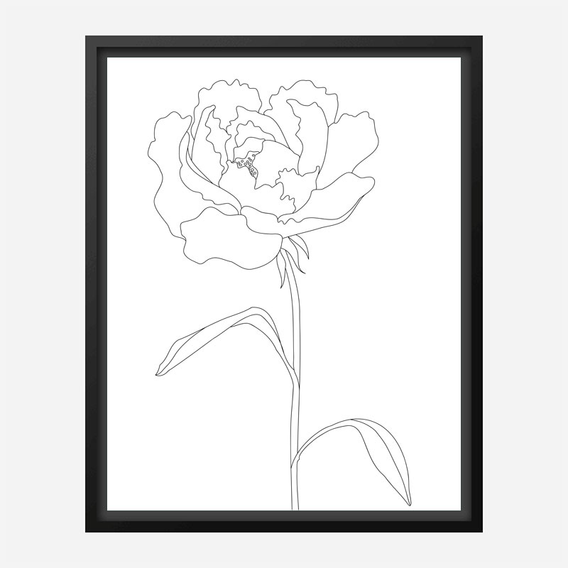 Peony Lines Wall Art Print