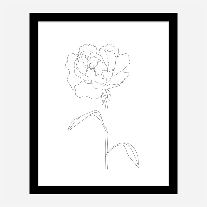 Peony Lines Wall Art Print