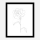 Peony Lines Wall Art Print