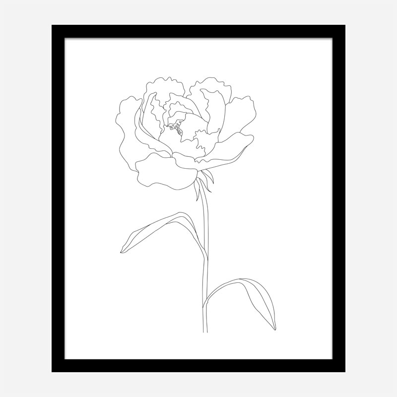 Peony Lines Wall Art Print