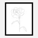 Peony Lines Wall Art Print