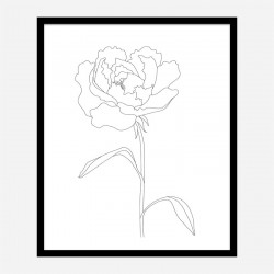 Peony Lines Wall Art Print