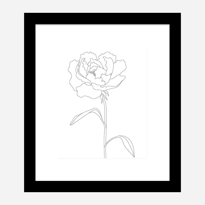 Peony Lines Wall Art Print