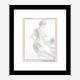 Studio Havde Wall Art Print Studio Havde Wall Art Print