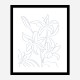 Lillies No 01 Art Print Lillies No 01 Art Print