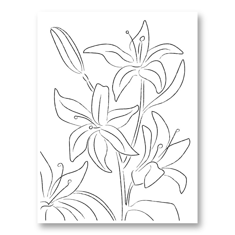Lillies No 02 Art Print Lillies No 02 Art Print