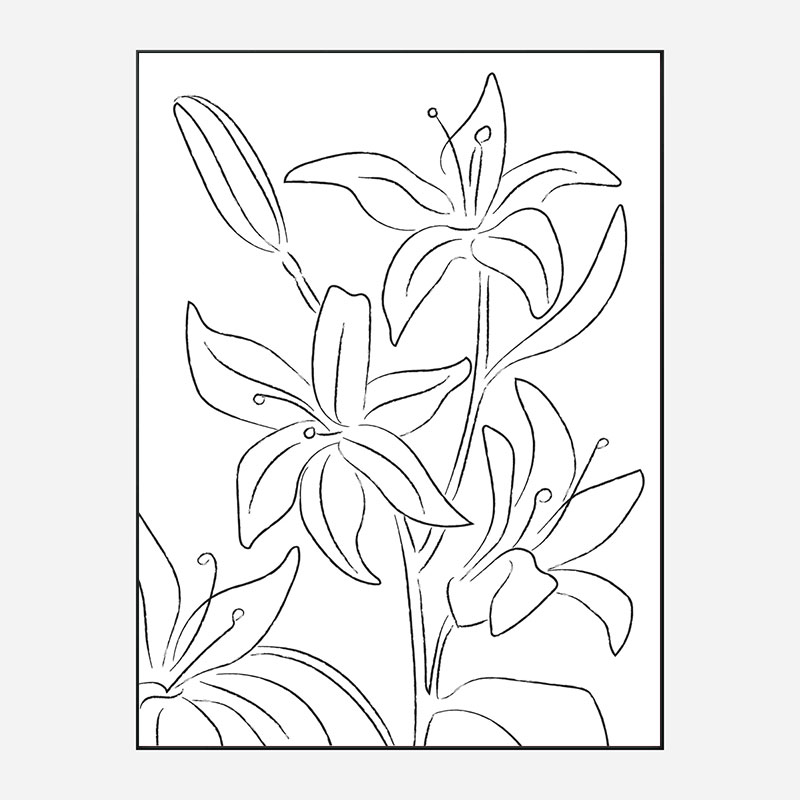 Lillies No 02 Art Print Lillies No 02 Art Print