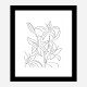 Lillies No 02 Art Print