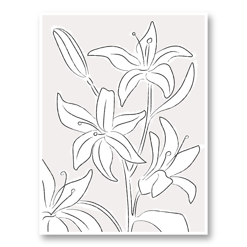 Lillies No 03 Art Print