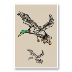 Flying Ducks