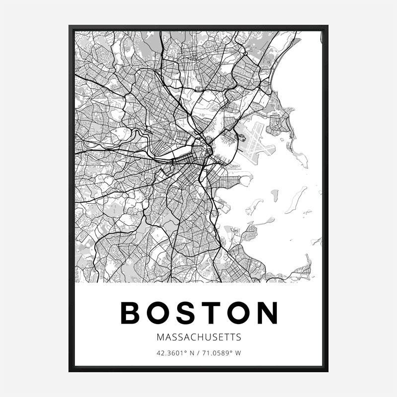 Boston Massachusetts City Map Art Print