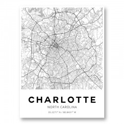 Charlotte North Carolina City Map Art Print