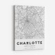 Charlotte North Carolina City Map Art Print