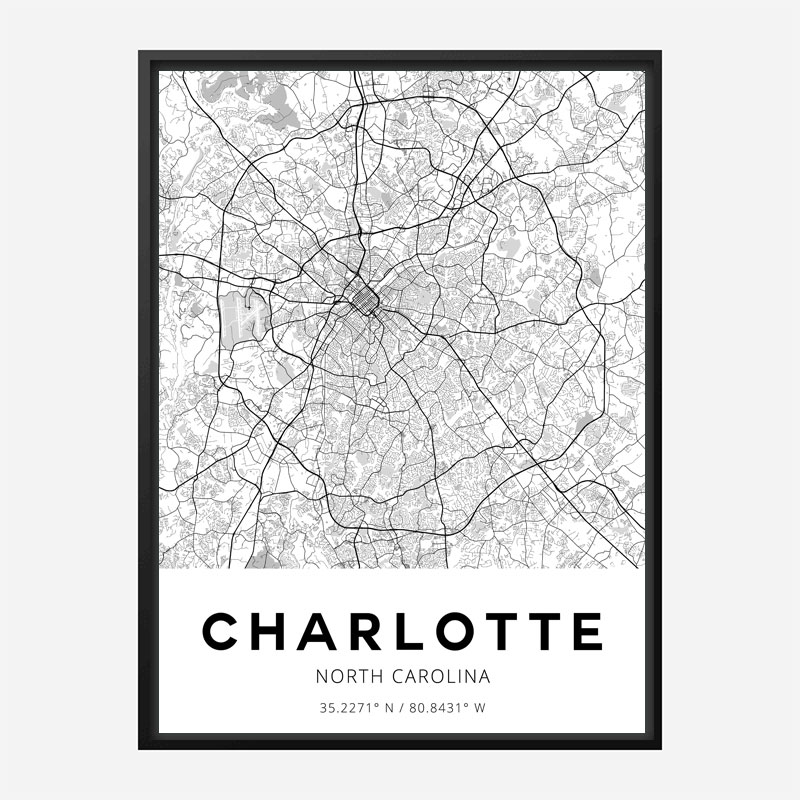 Charlotte North Carolina City Map Art Print