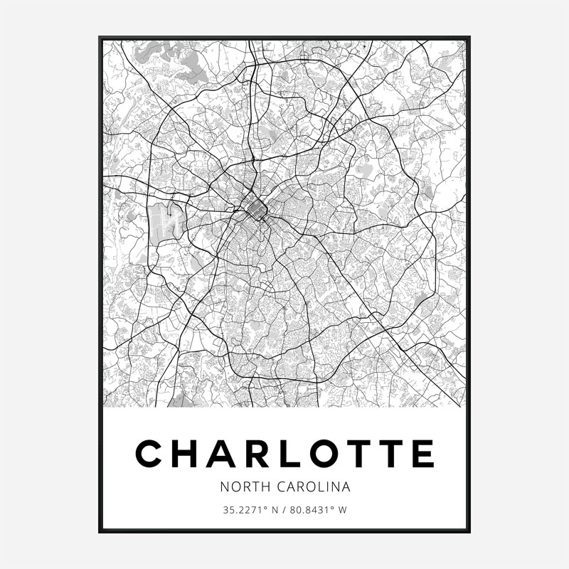 Charlotte North Carolina City Map Art Print