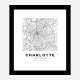 Charlotte North Carolina City Map Art Print