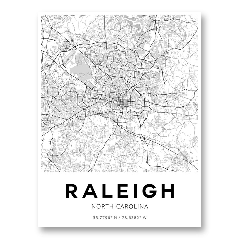 Raleigh North Carolina City Map Art Print