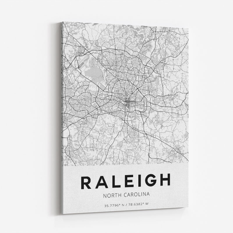 Raleigh North Carolina City Map Art Print