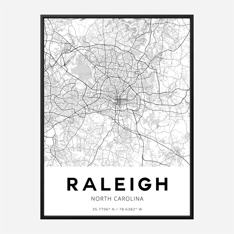 Raleigh North Carolina City Map Art Print