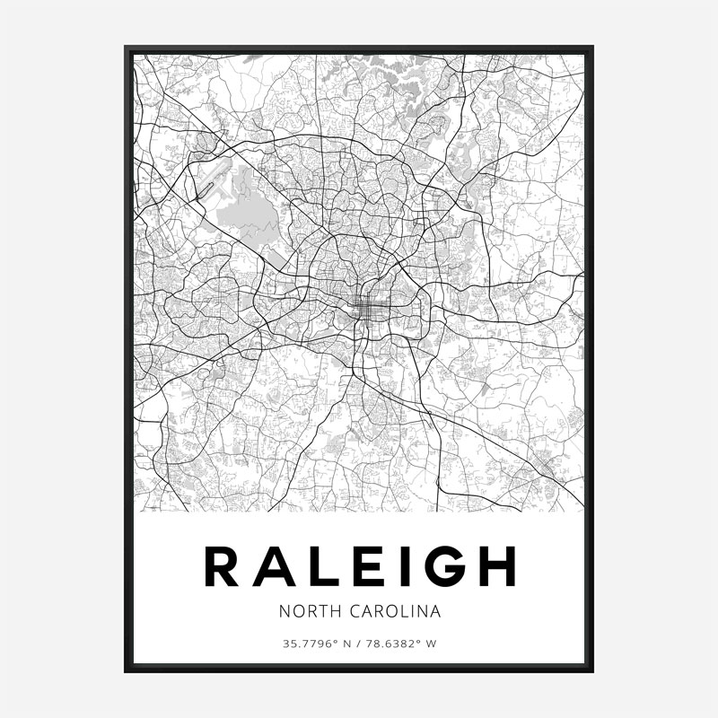 Raleigh North Carolina City Map Art Print