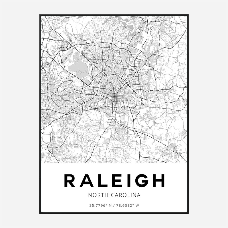 Raleigh North Carolina City Map Art Print