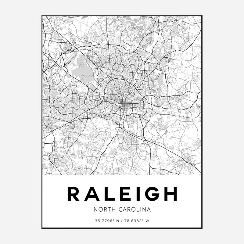 Raleigh North Carolina City Map Art Print